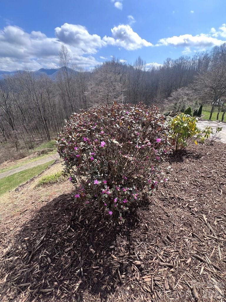 770 Discovery Place Sylva NC 28779