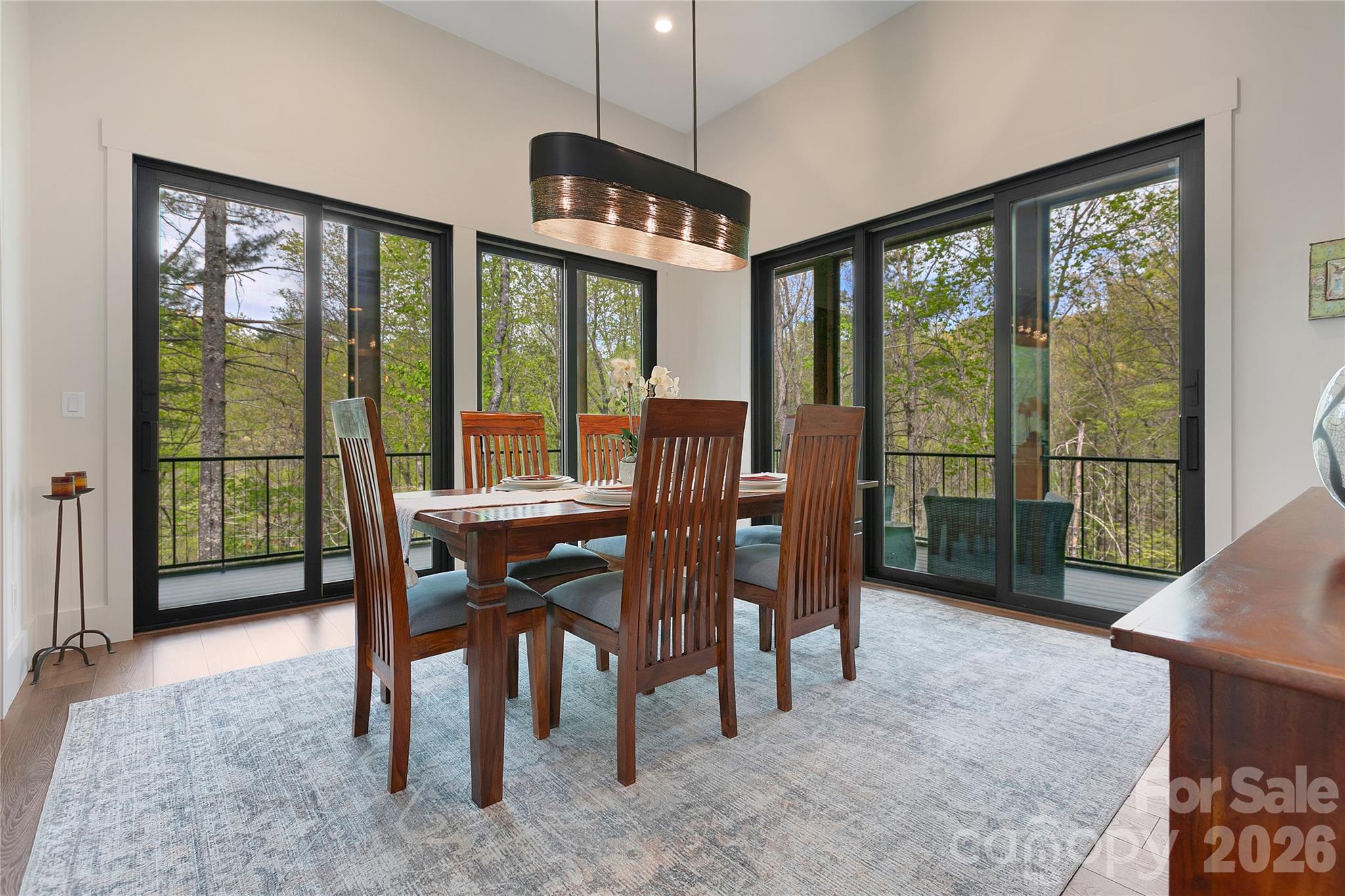 726 Ugugu Drive Brevard NC 28712