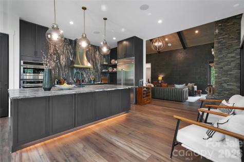 726 Ugugu Drive Brevard NC 28712