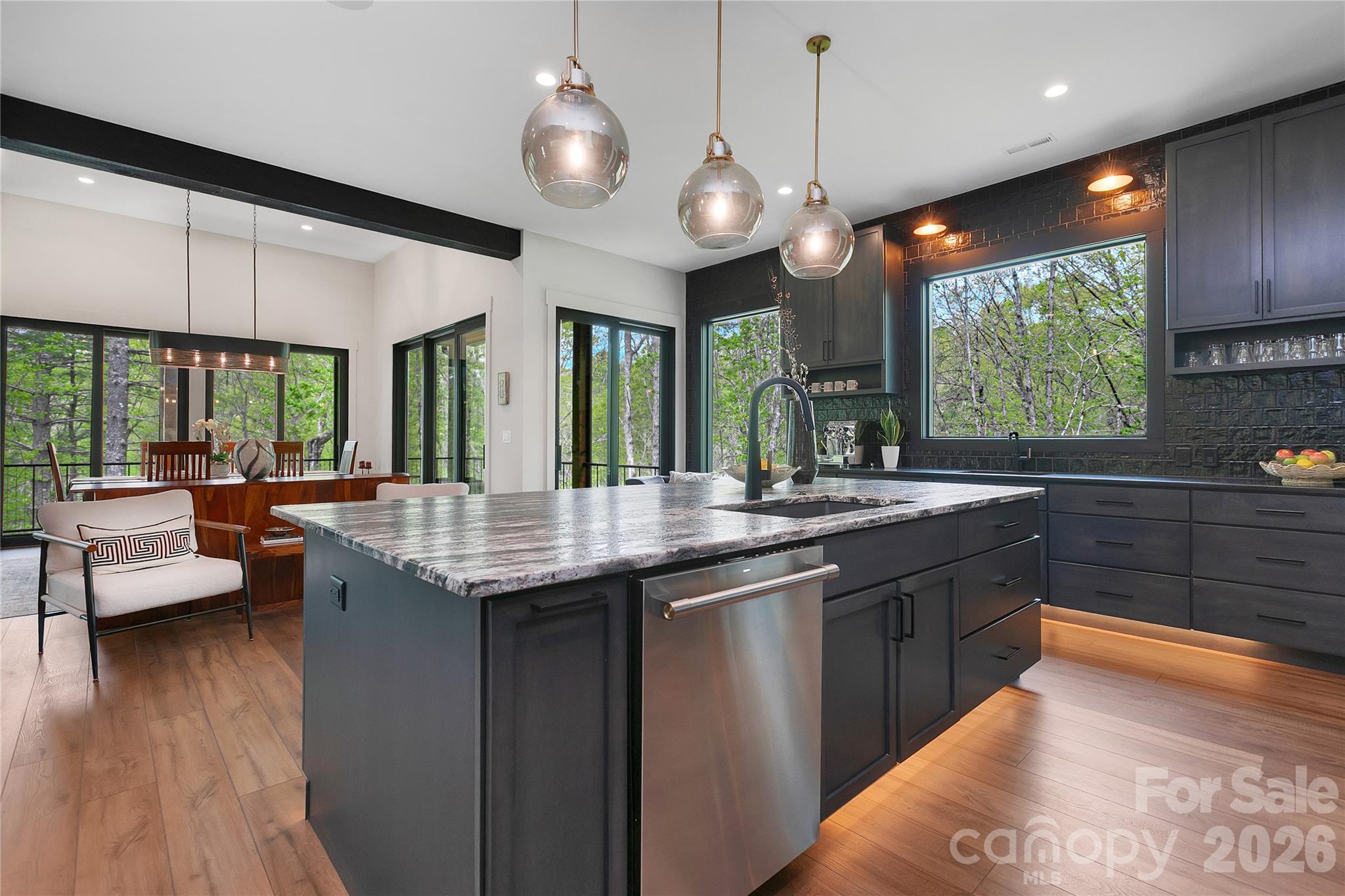 726 Ugugu Drive Brevard NC 28712