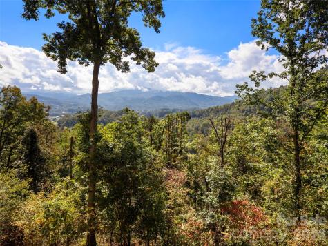 88 Brown Bear Way Waynesville NC 28786
