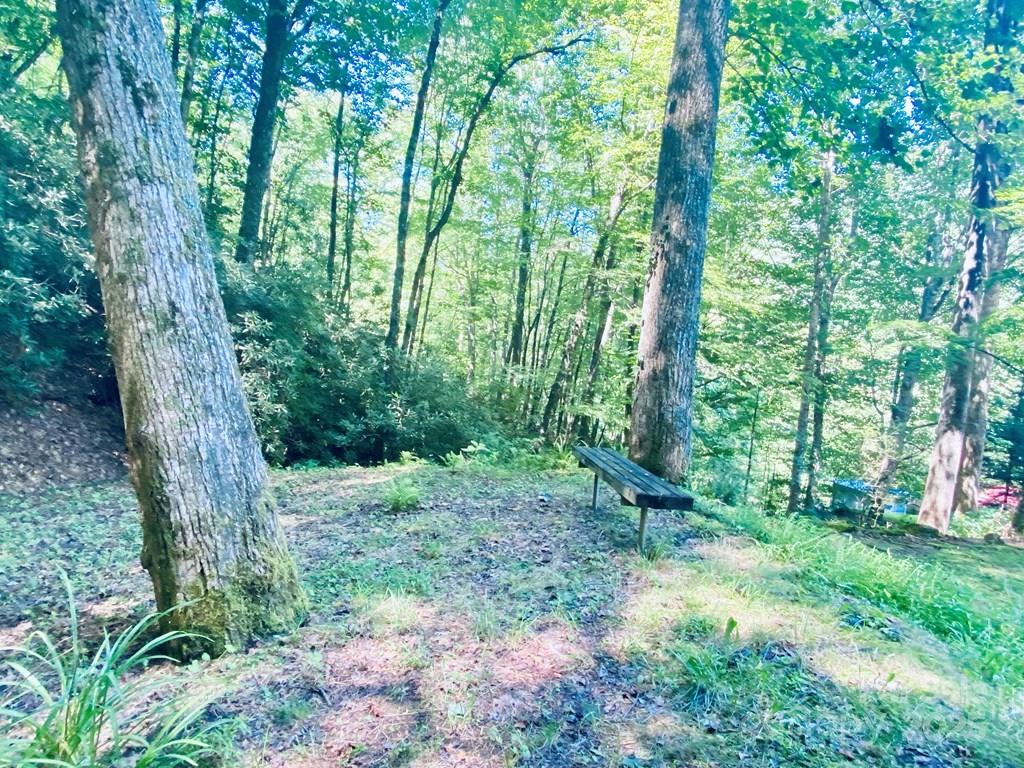 100 Crosspatch Drive Bryson City NC 28713