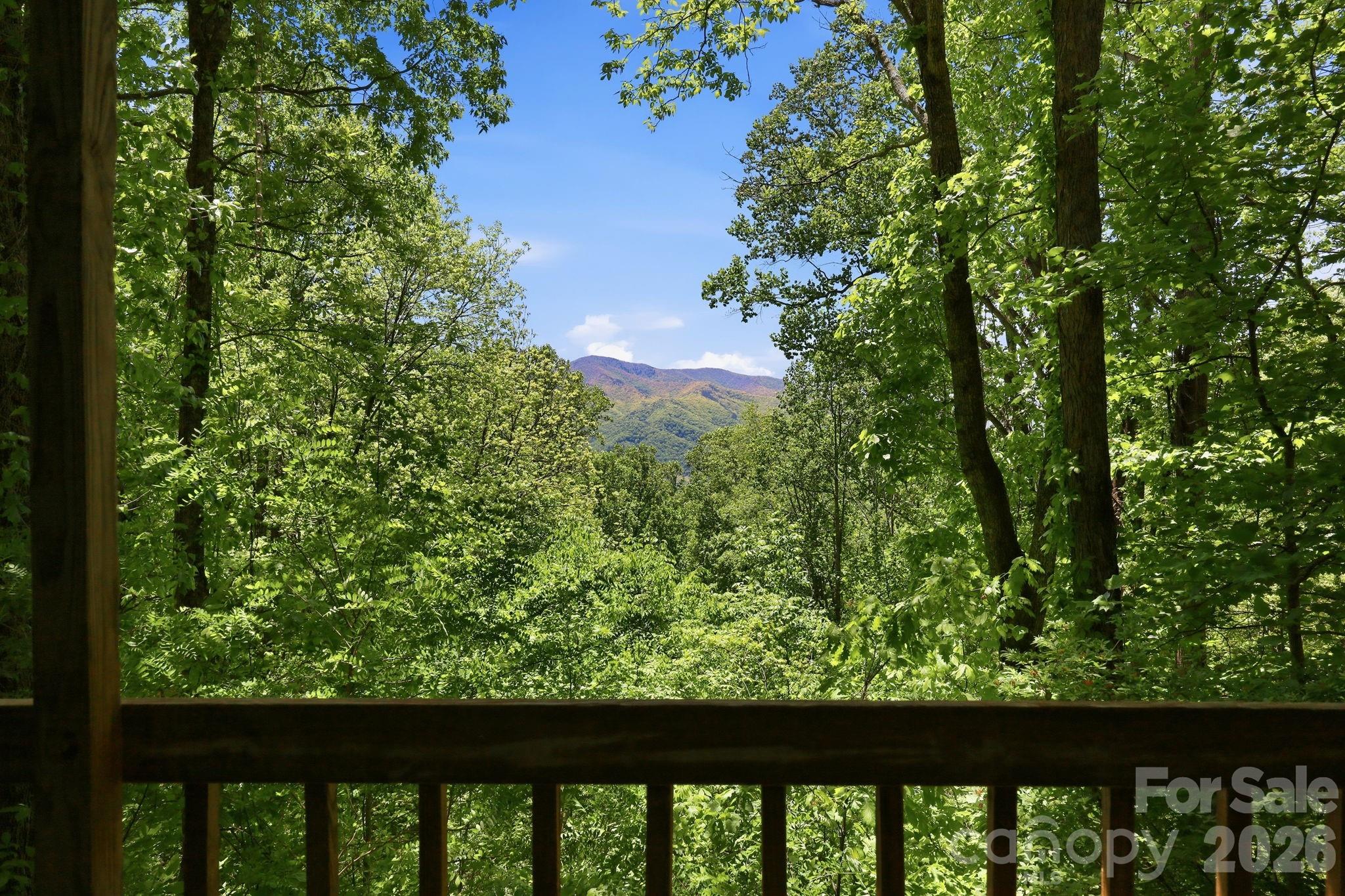 169 Sleepy Hollow Lane Canton NC 28716