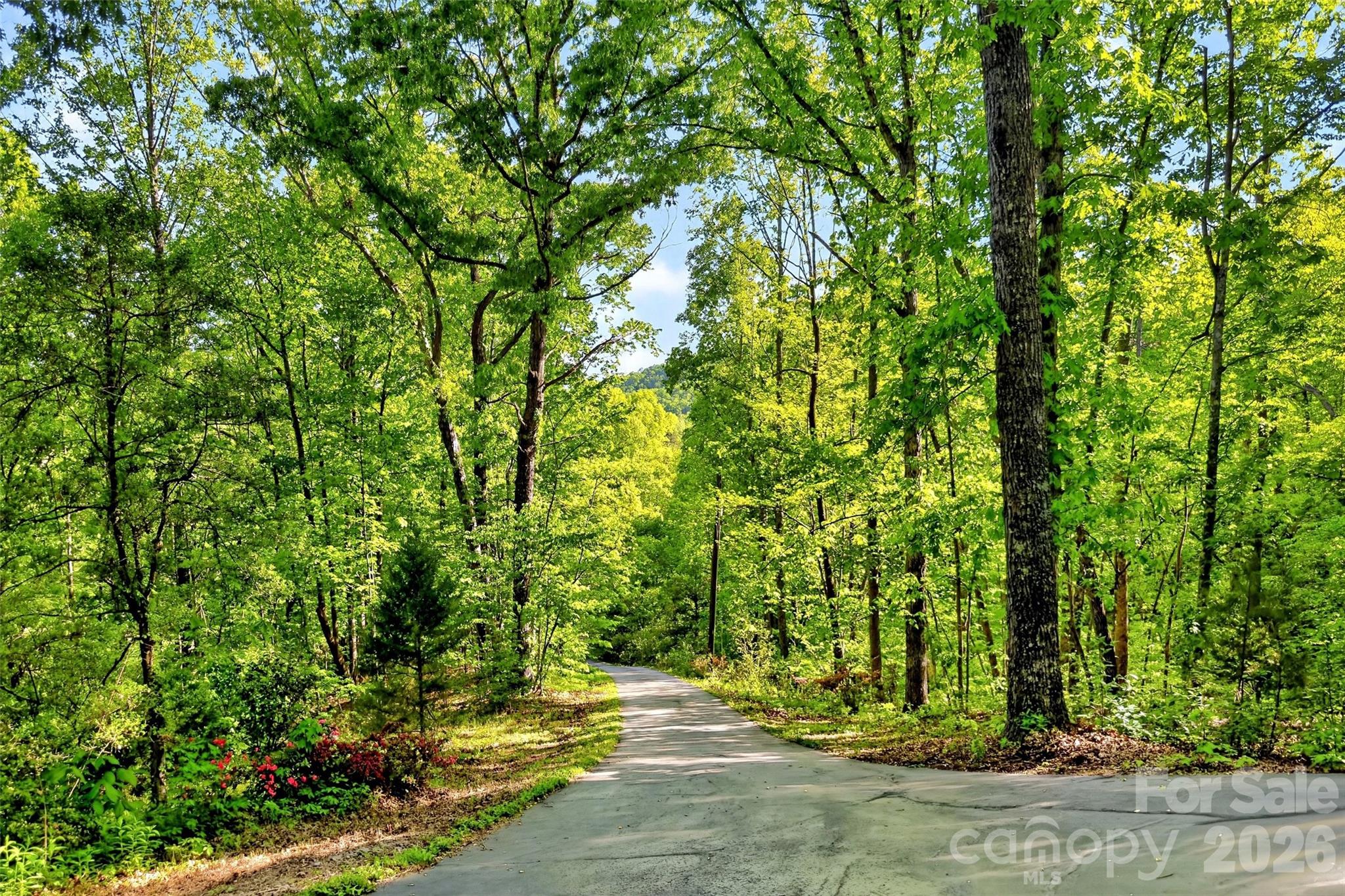 221 Hammer Hollow Drive Marion NC 28752