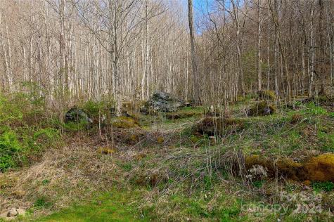 3198 Nc 261 Highway Bakersville NC 28705