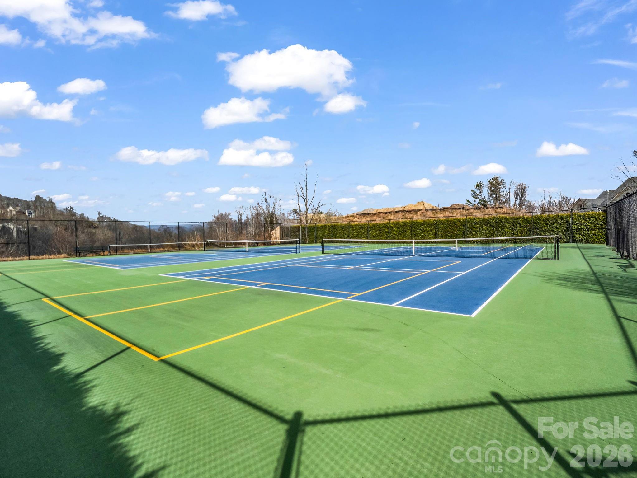 29 Spring Heights Court Hendersonville NC 28791