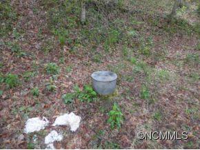540 Stoney Fork Road Barnardsville NC 28709