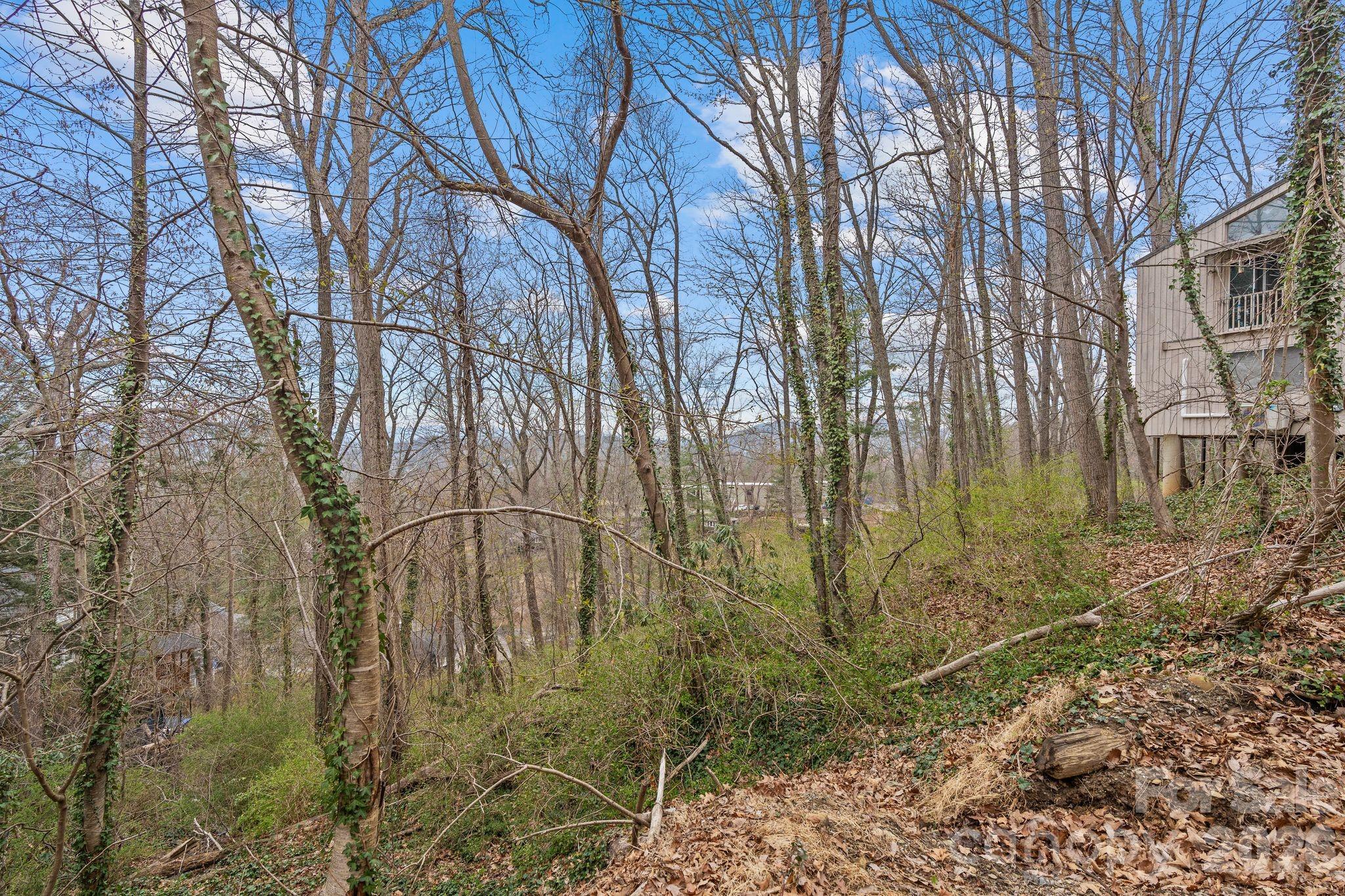 355 Sunset Drive Asheville NC 28804