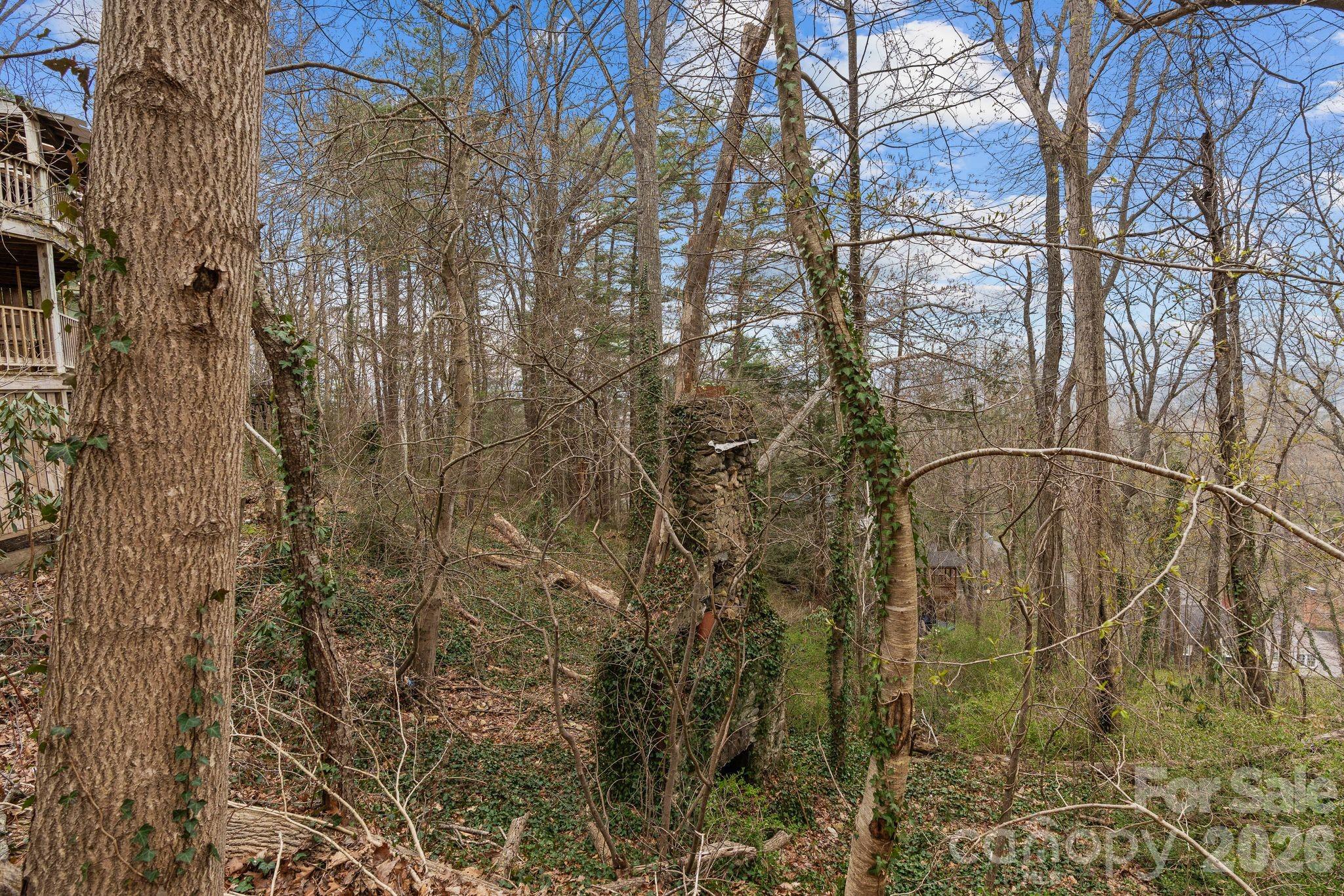 355 Sunset Drive Asheville NC 28804