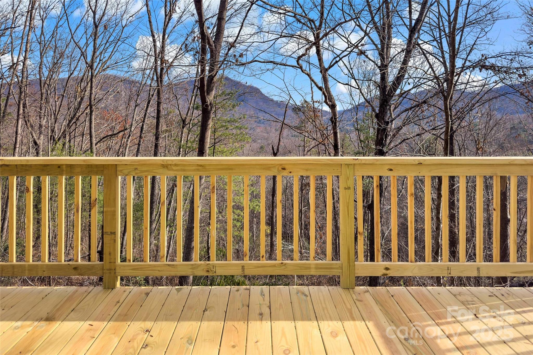 123 Avondale Ridge Road Asheville NC 28803