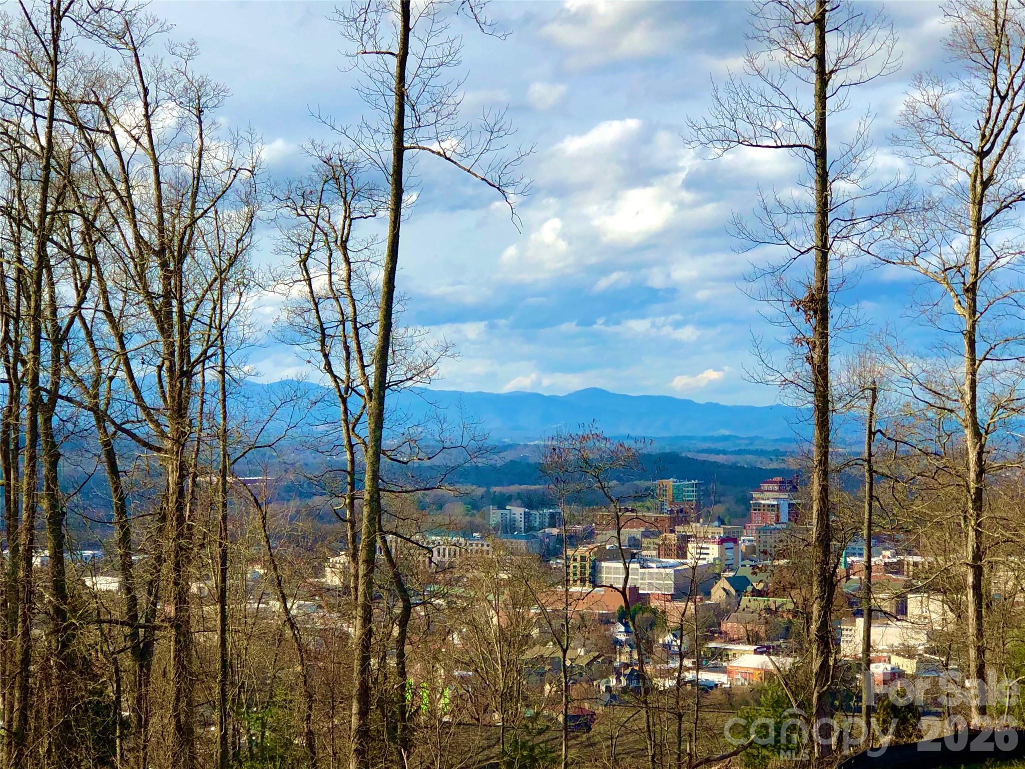 106 Mccauley Drive Asheville NC 28803