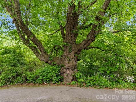 506 Johnston School Road Asheville NC 28806