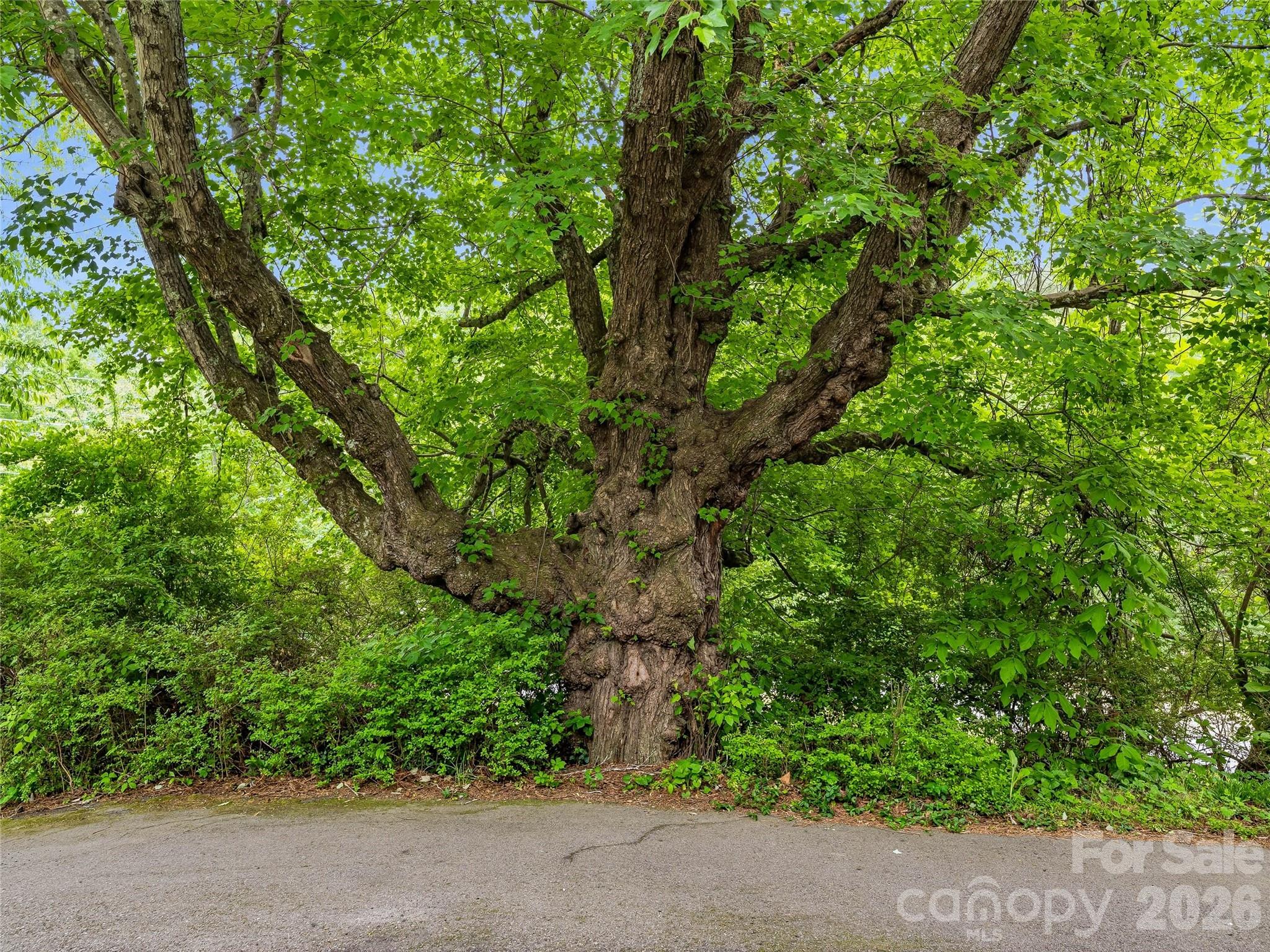 506 Johnston School Road Asheville NC 28806