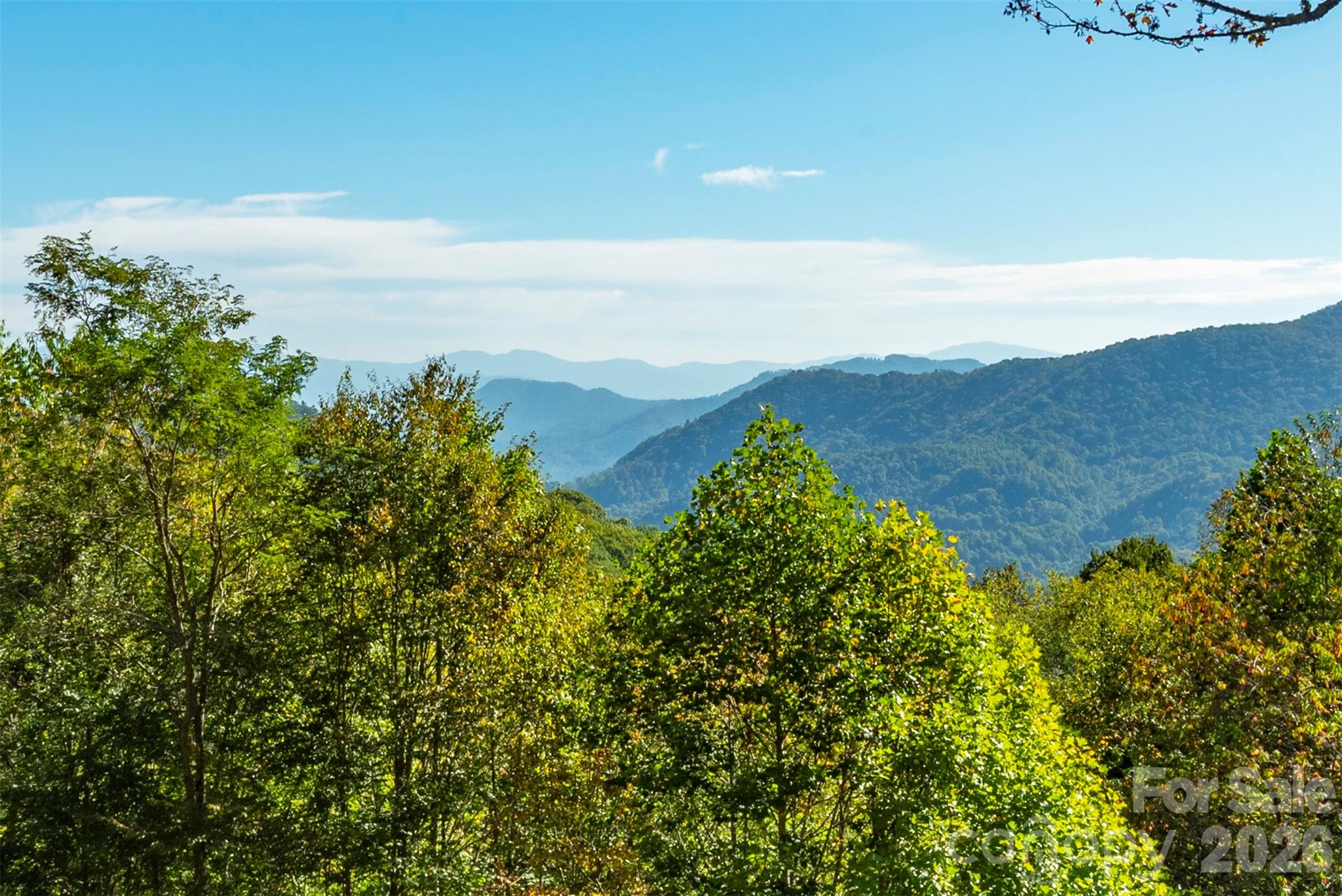 322 Goldenleaf Road Mars Hill NC 28754