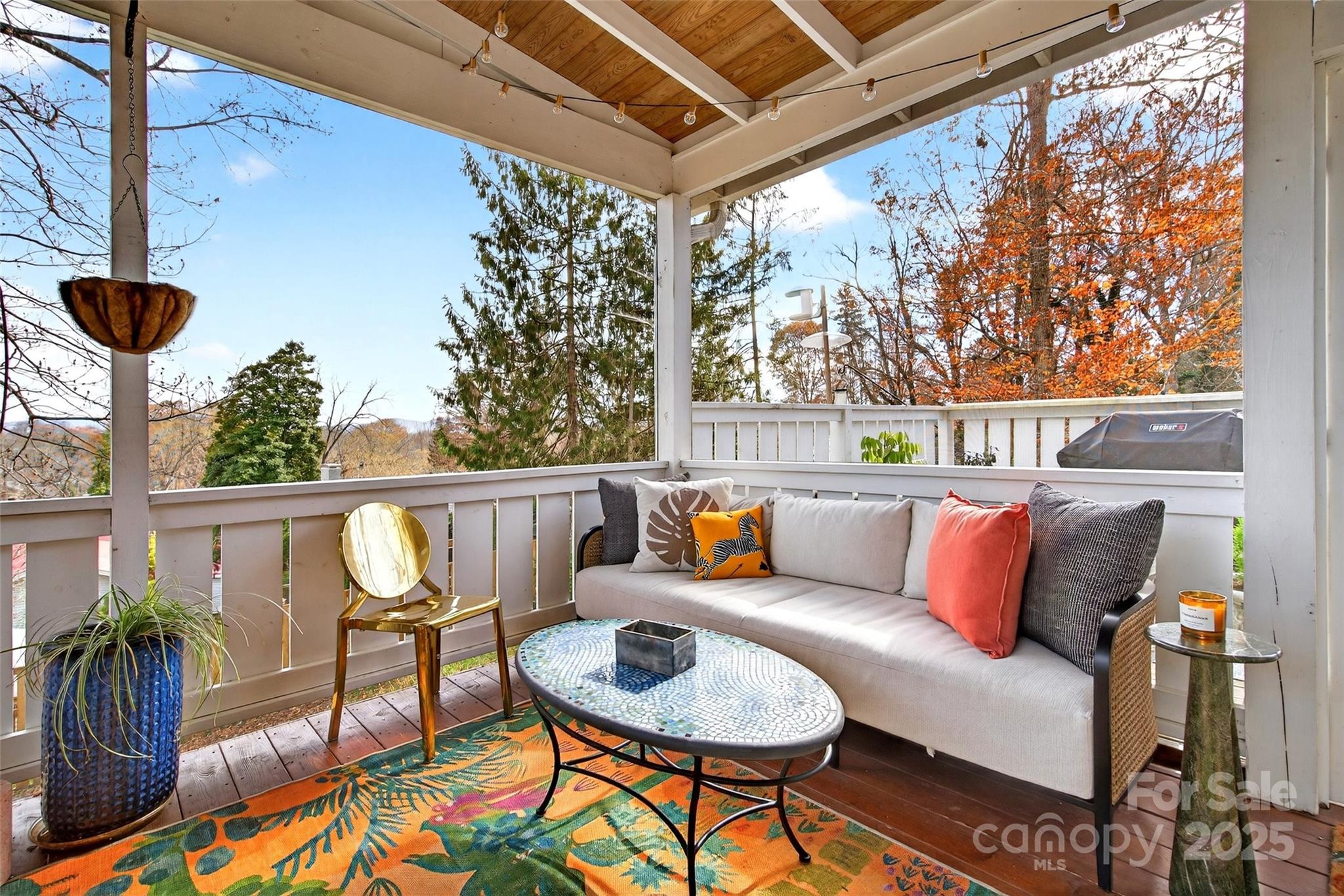 18 Princeton Drive Asheville NC 28806