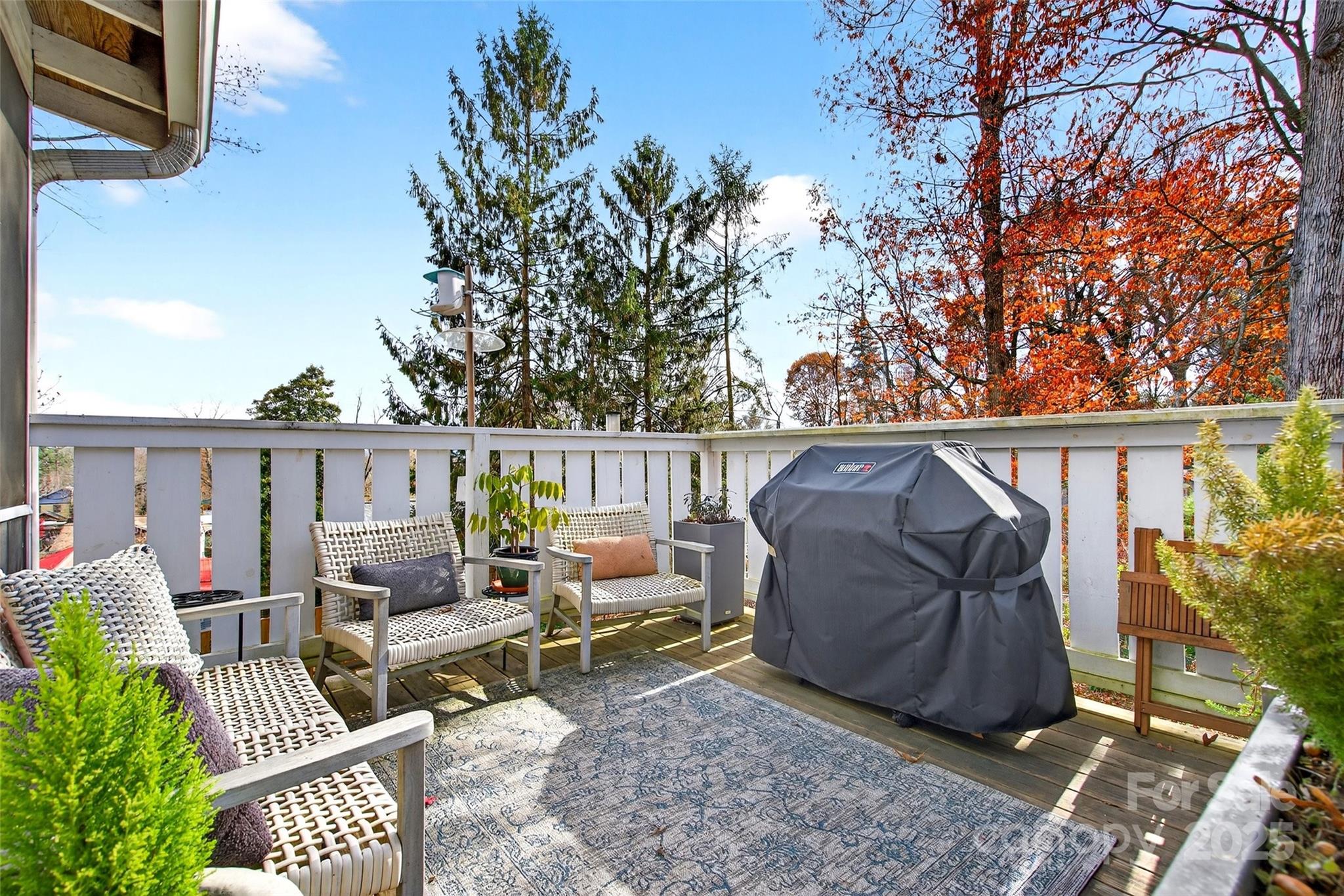 18 Princeton Drive Asheville NC 28806