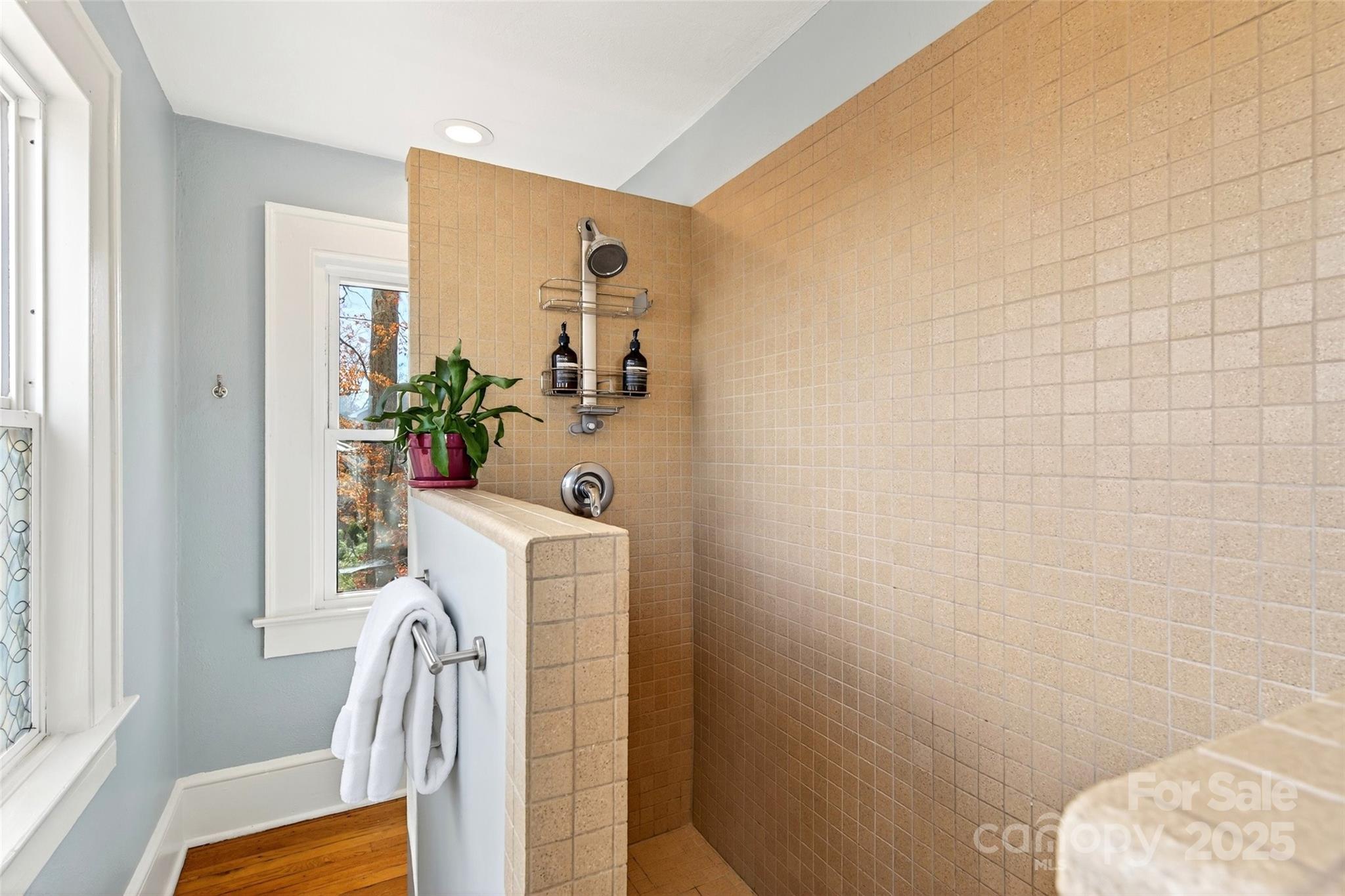 18 Princeton Drive Asheville NC 28806