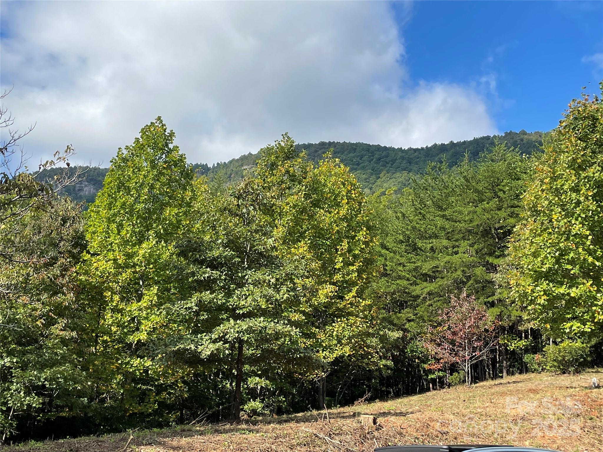 00 Birkdale Drive Mill Spring NC 28756