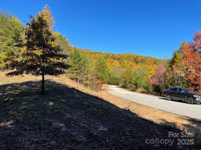 00 Birkdale Drive Mill Spring NC 28756