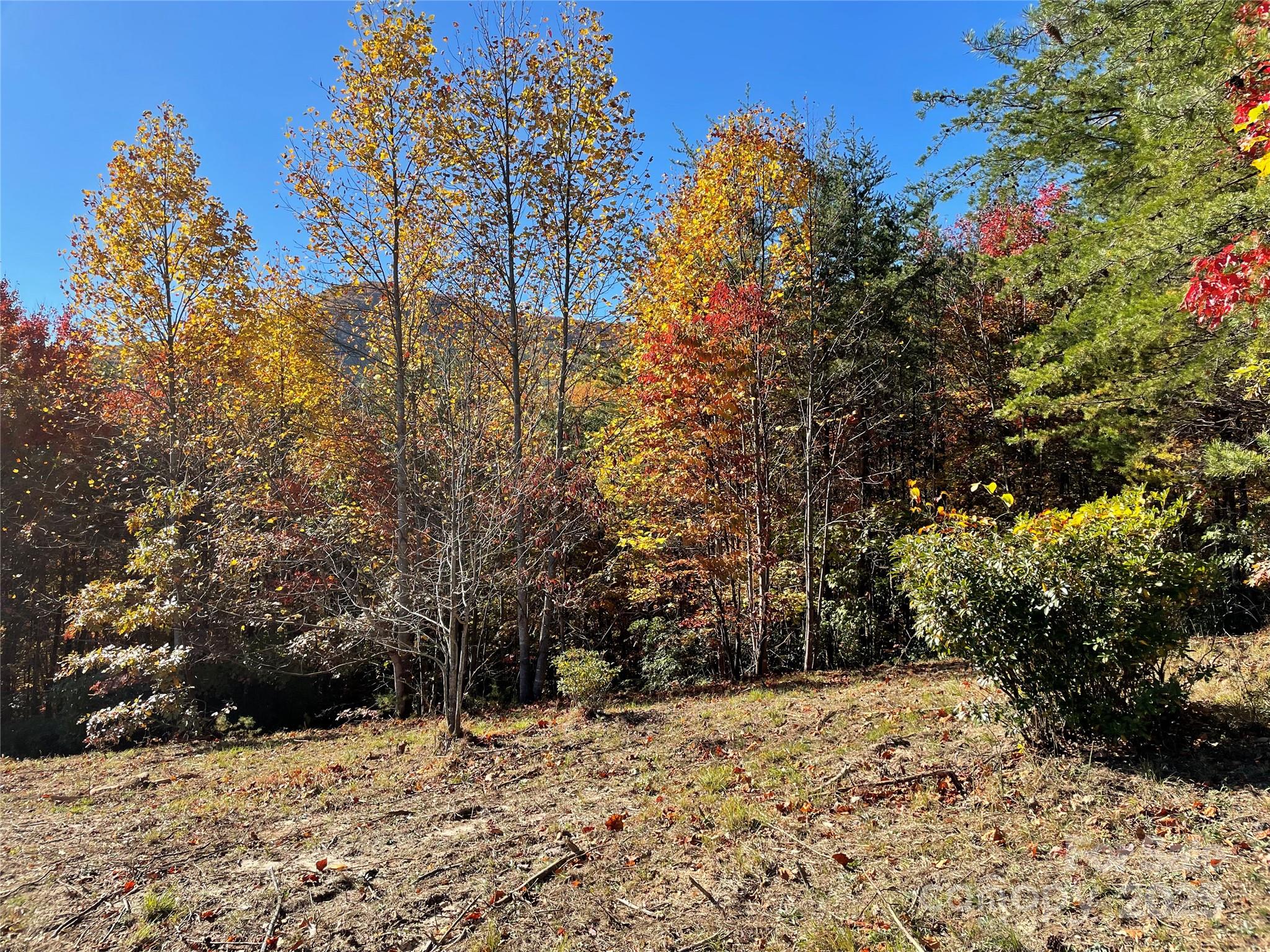 00 Birkdale Drive Mill Spring NC 28756