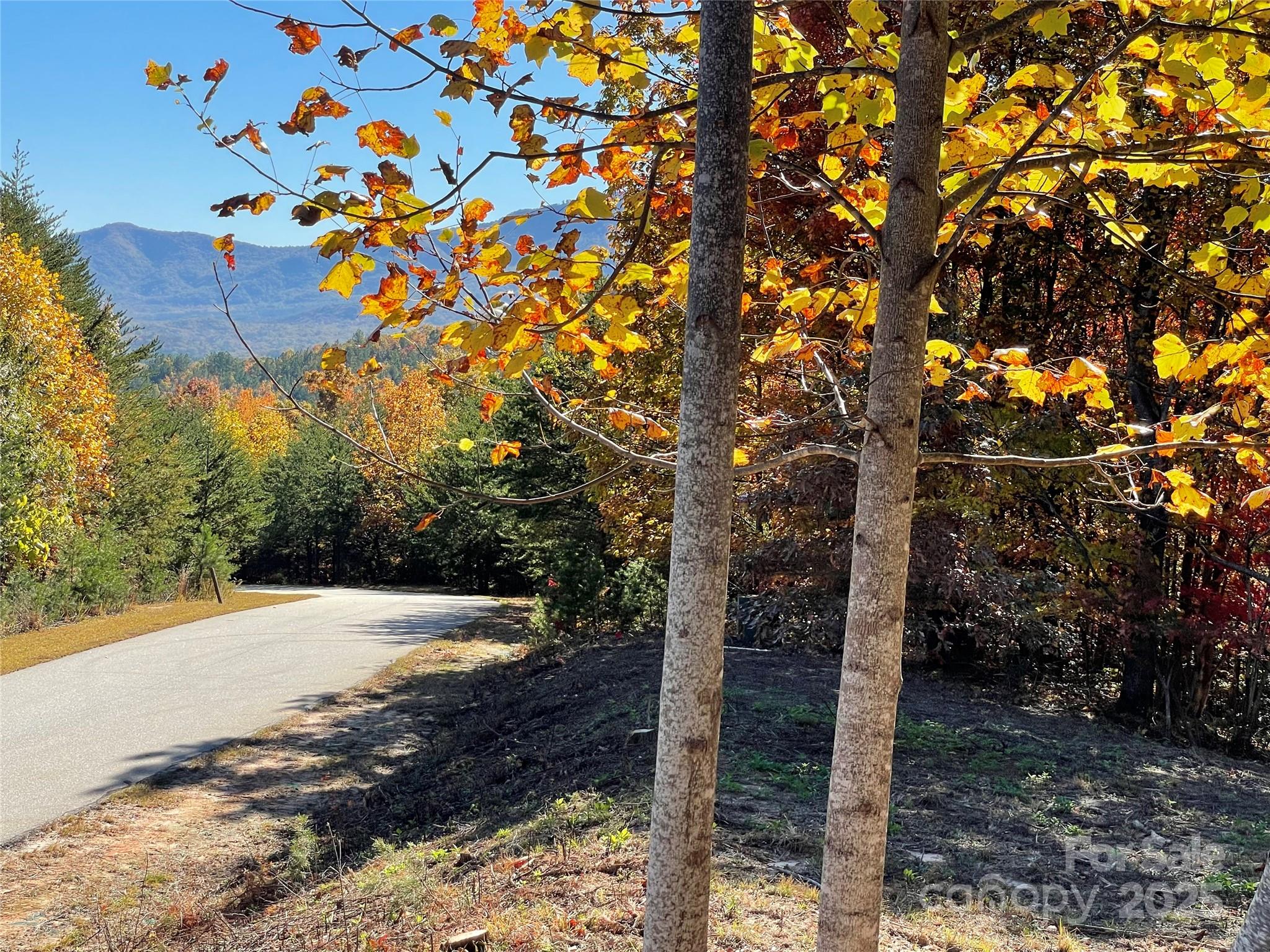 00 Birkdale Drive Mill Spring NC 28756