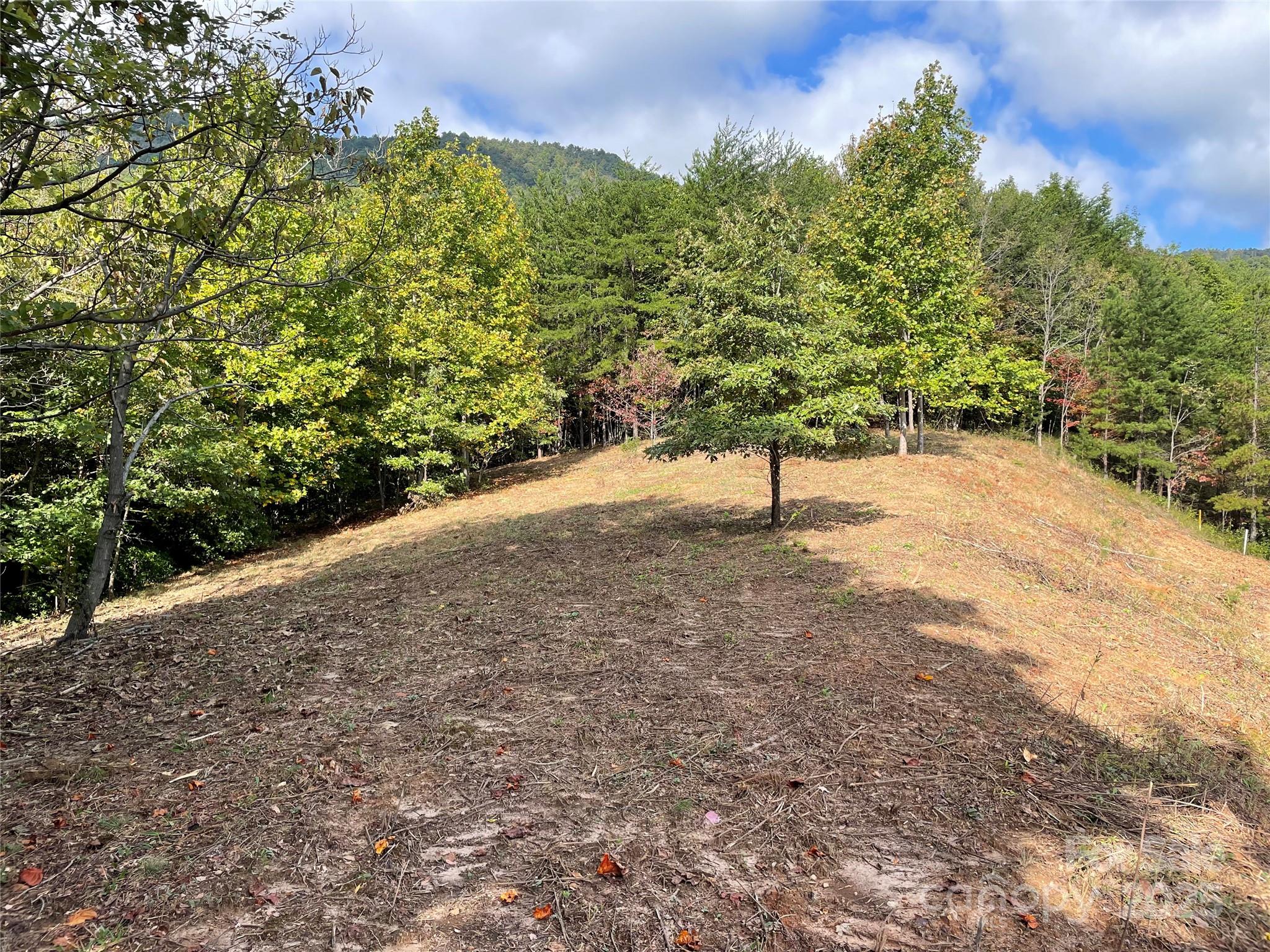 00 Birkdale Drive Mill Spring NC 28756