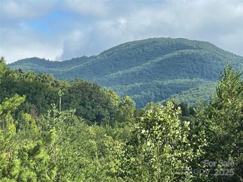 00 Birkdale Drive Mill Spring NC 28756