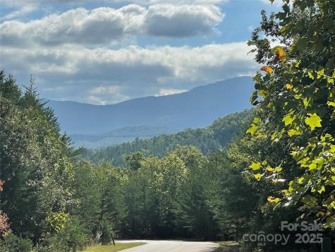 00 Birkdale Drive Mill Spring NC 28756