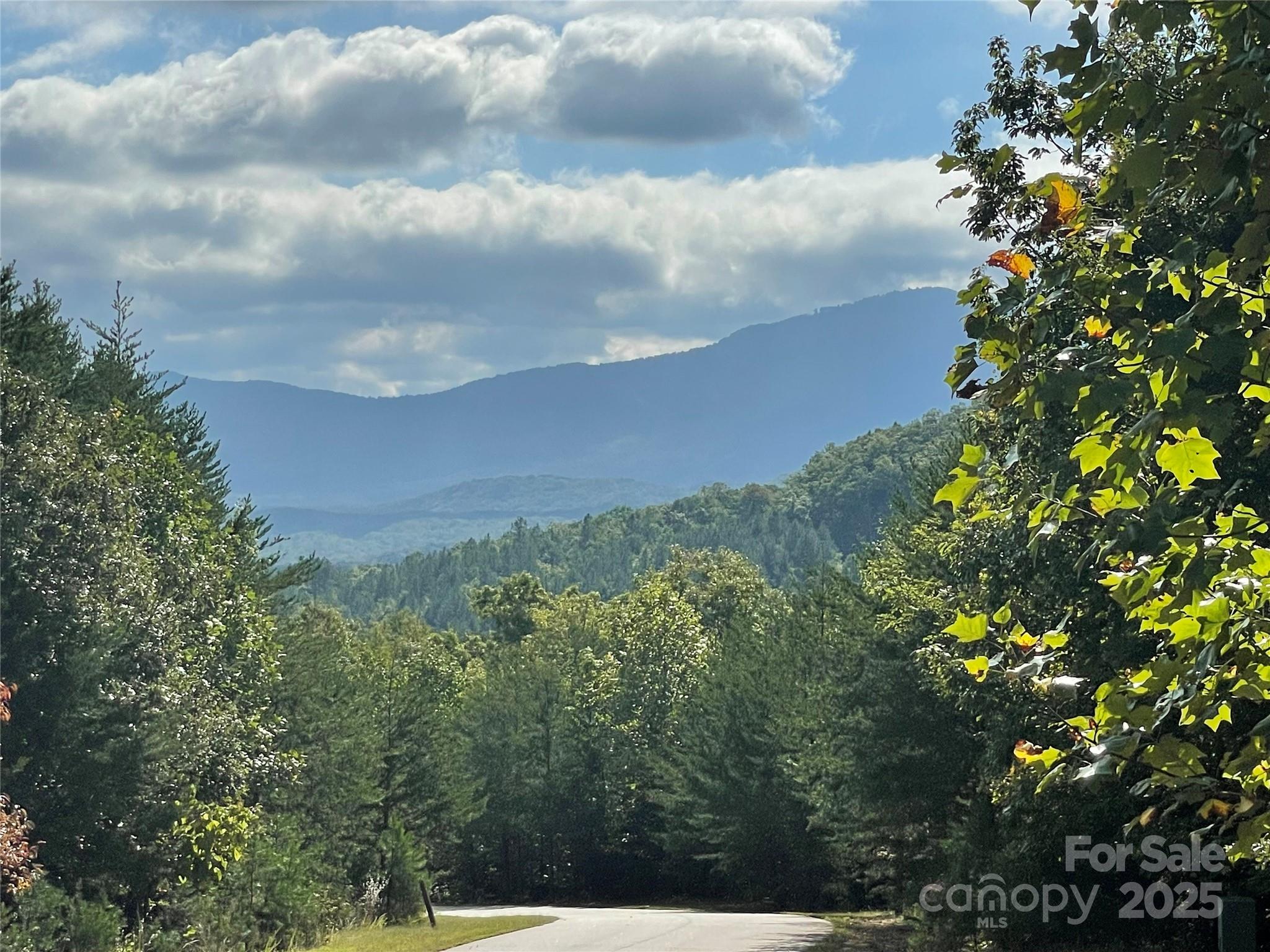 00 Birkdale Drive Mill Spring NC 28756