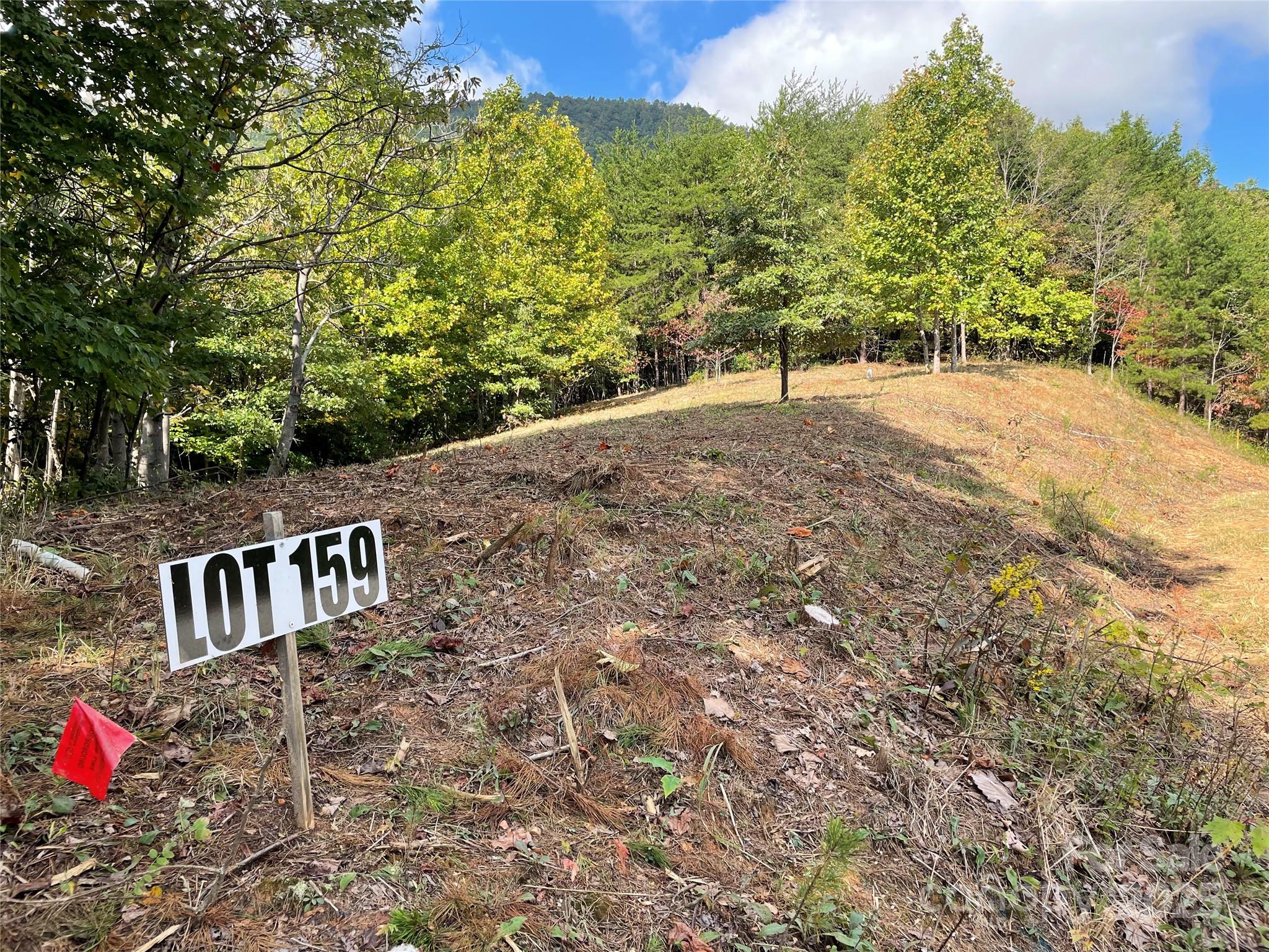 00 Birkdale Drive Mill Spring NC 28756