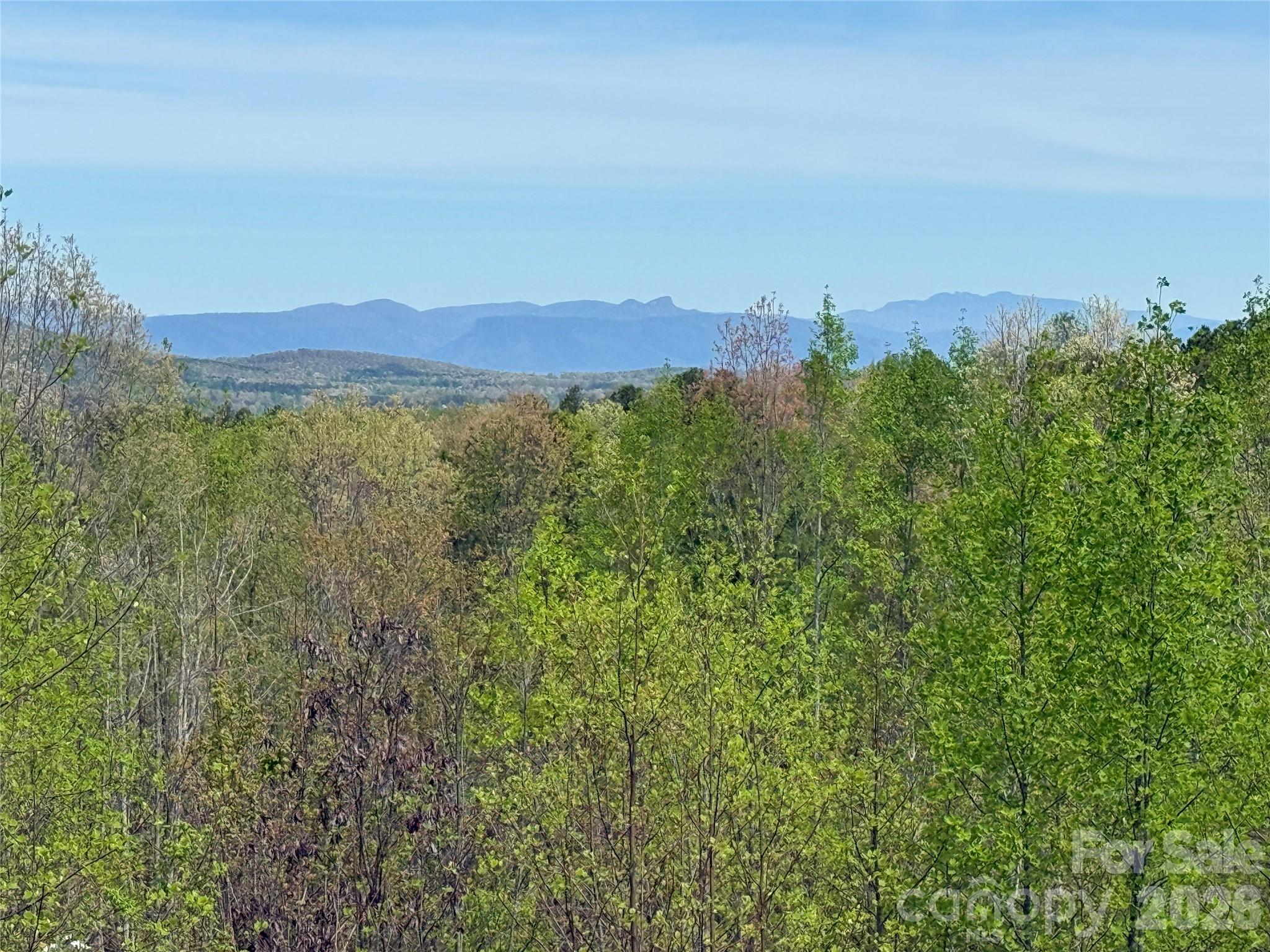 338 Lakeview Trail Nebo NC 28761