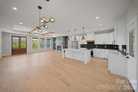 111 Pisgah Gap Drive Candler NC 28715