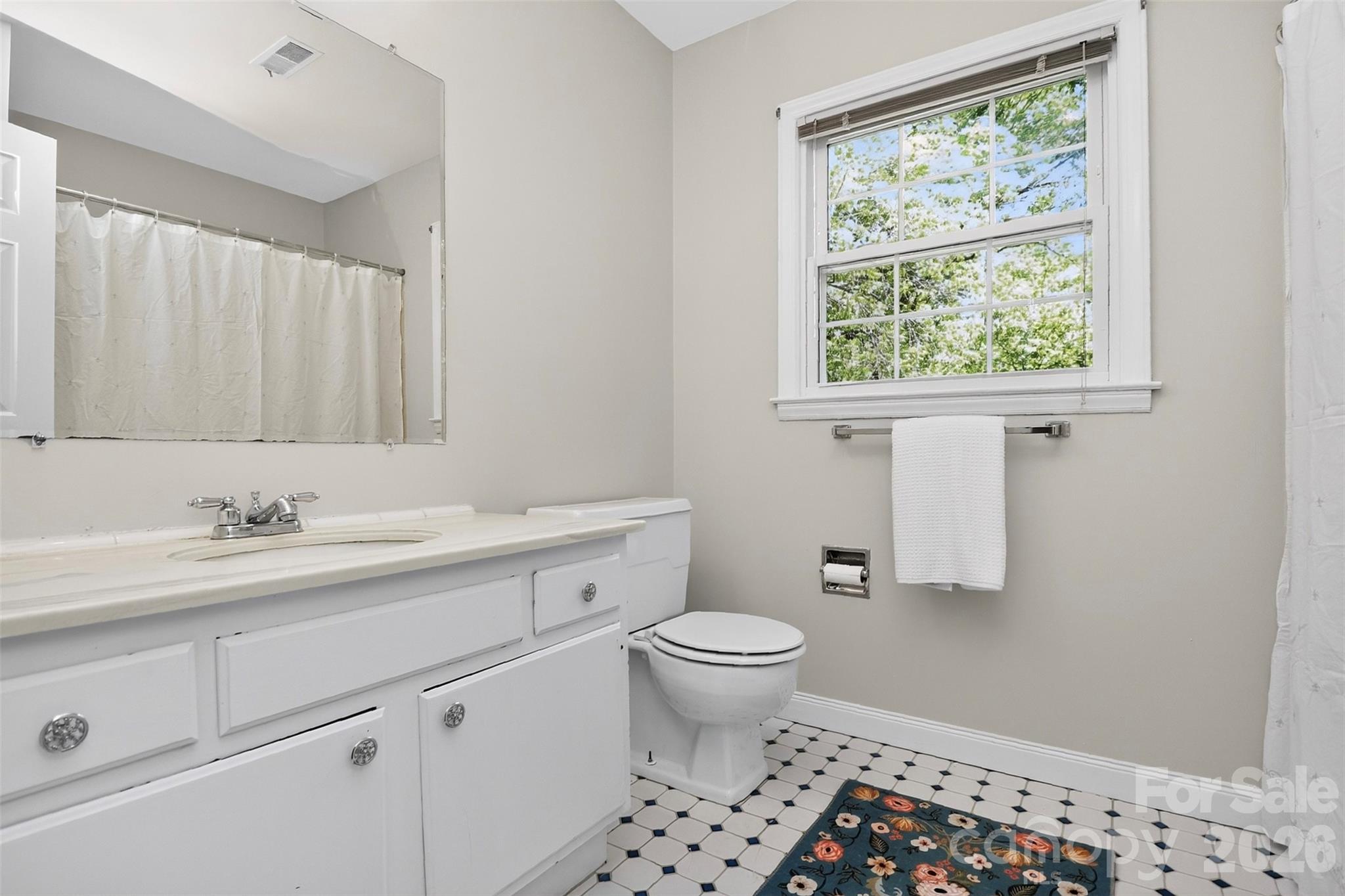 6527 Summerlin Place Charlotte NC 28226