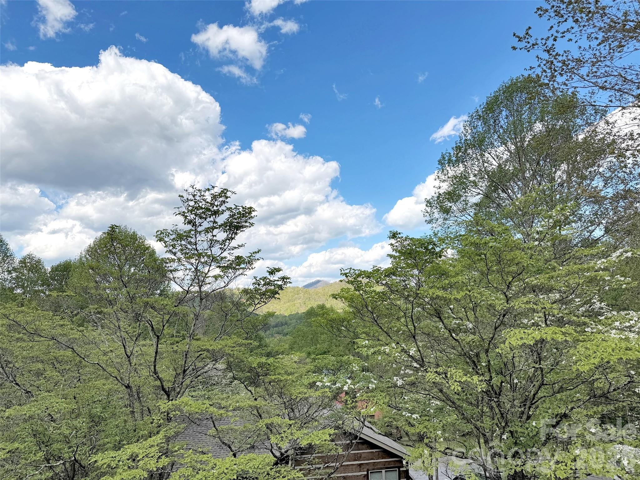 487 Julia Lane Maggie Valley NC 28751