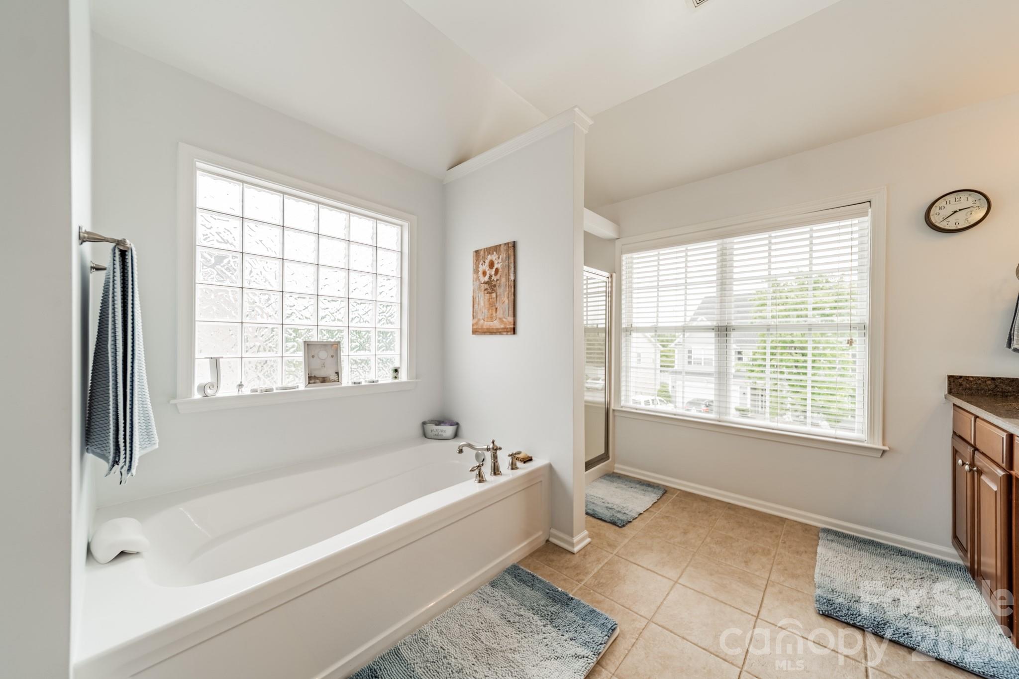 10948 Hat Creek Lane Davidson NC 28036