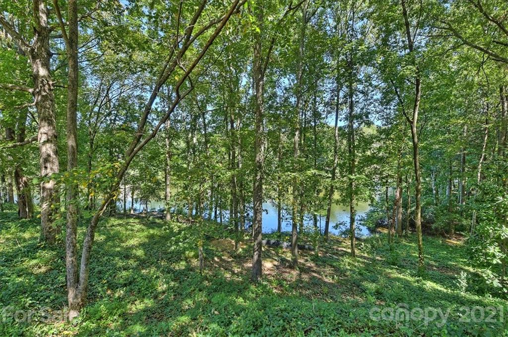 5419 Colony Road Charlotte NC 28226