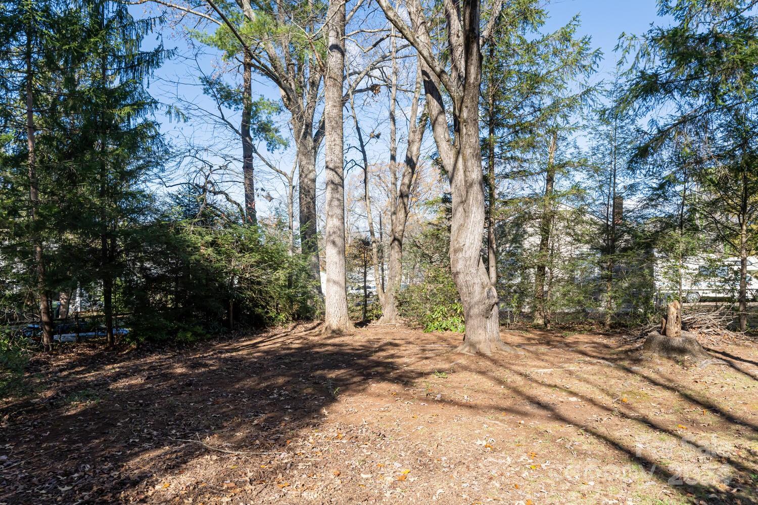 104 Trotter Place Asheville NC 28806