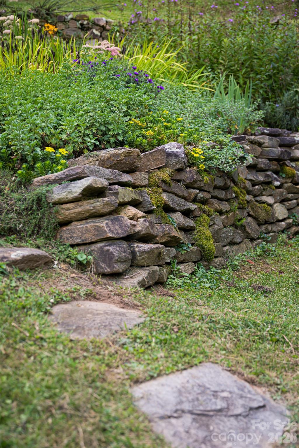 15 Wolfe Cove Road Asheville NC 28804