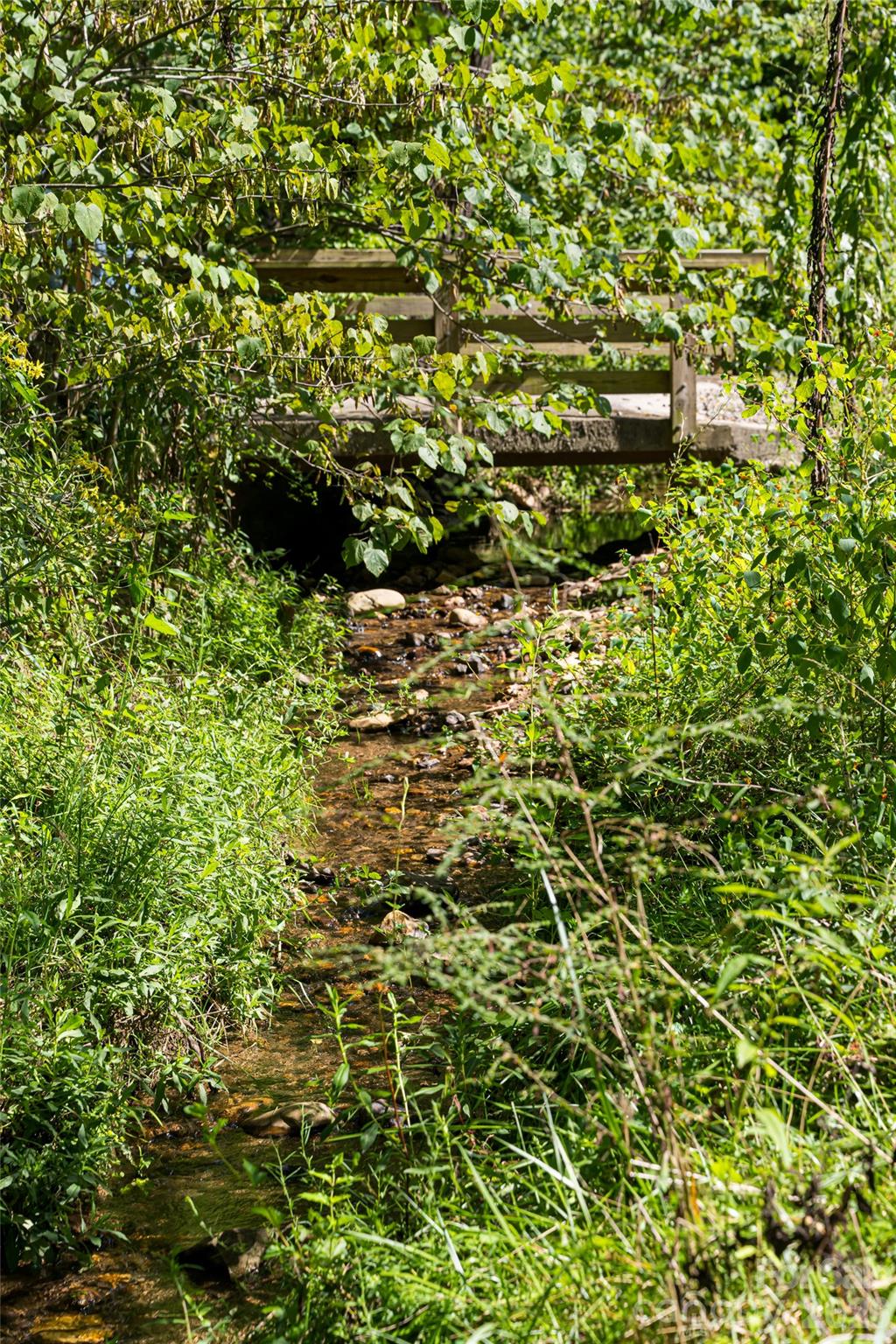 15 Wolfe Cove Road Asheville NC 28804