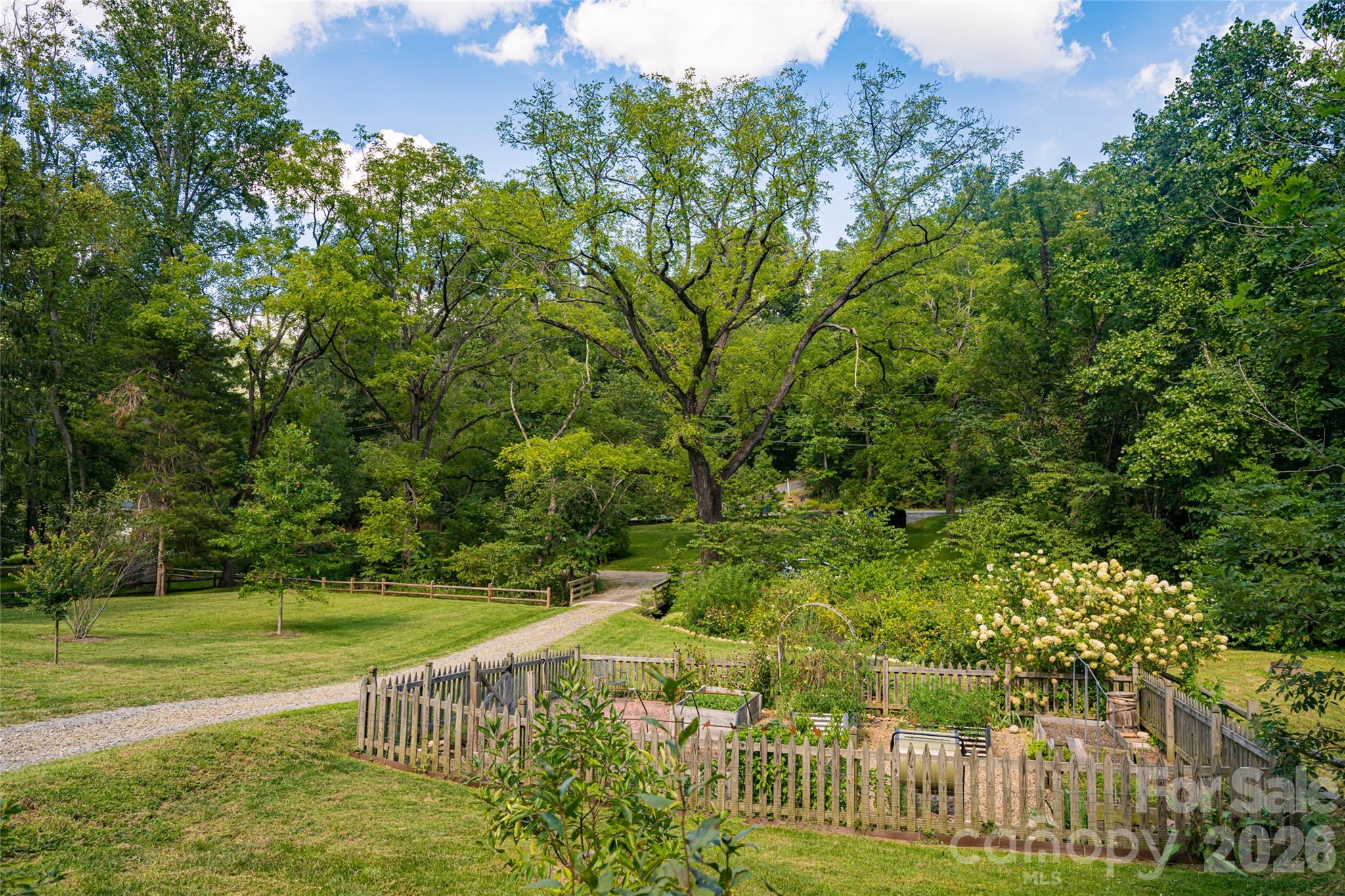 15 Wolfe Cove Road Asheville NC 28804