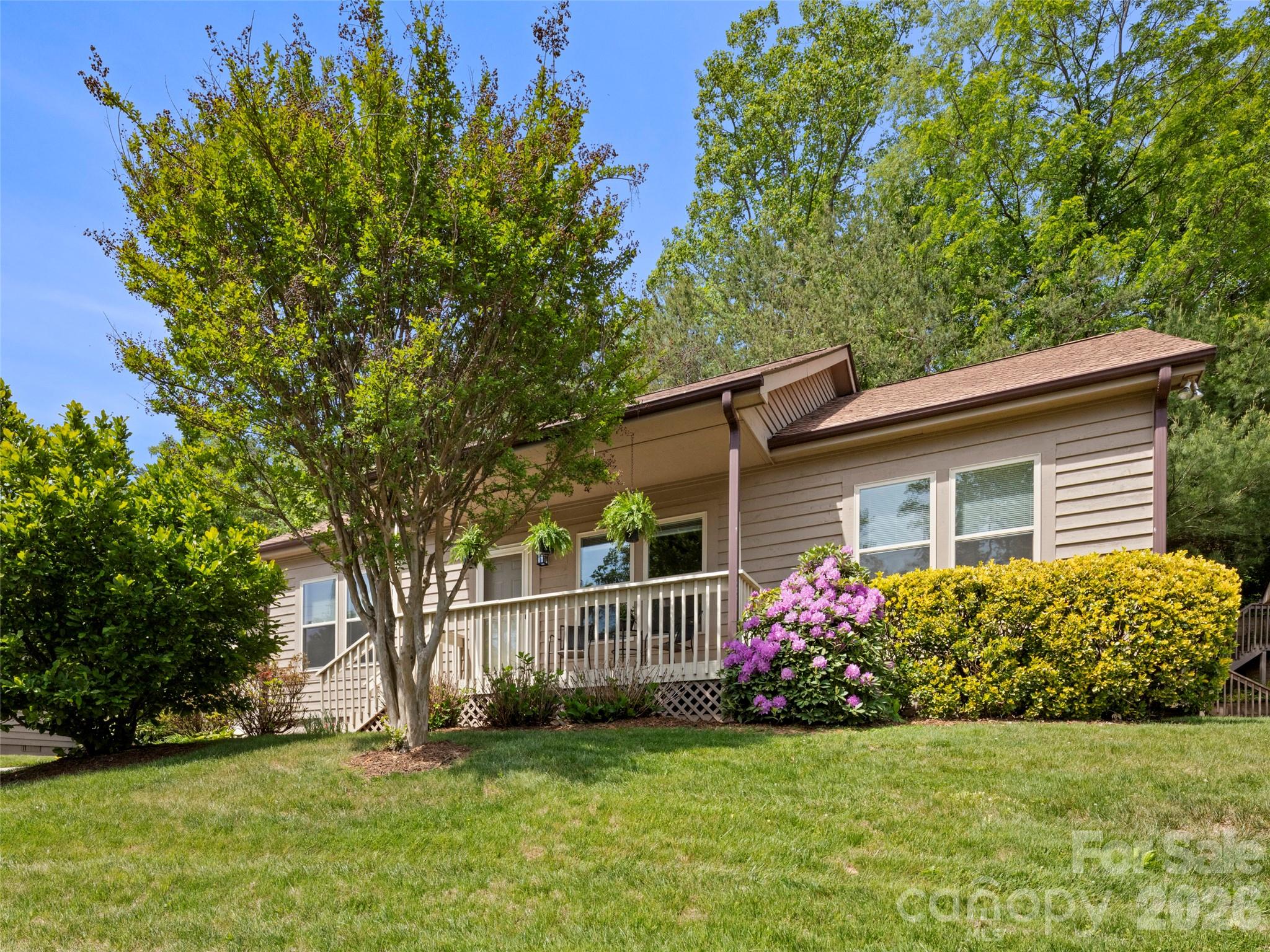 1 Hedgerose Court Asheville NC 28805