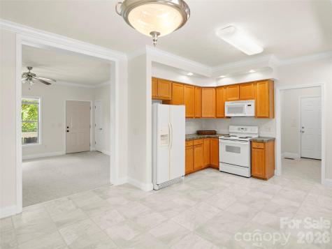 1 Hedgerose Court Asheville NC 28805