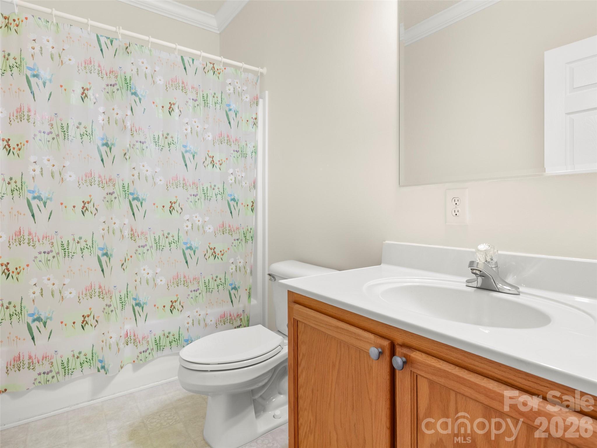 1 Hedgerose Court Asheville NC 28805