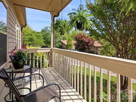 1 Hedgerose Court Asheville NC 28805
