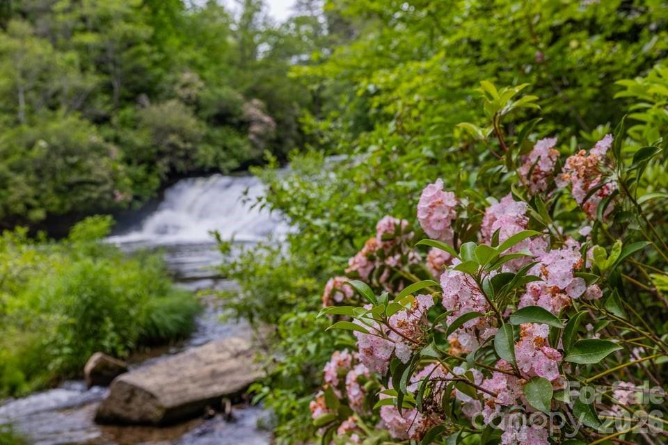 940 Winding Creek Road Sapphire NC 28774
