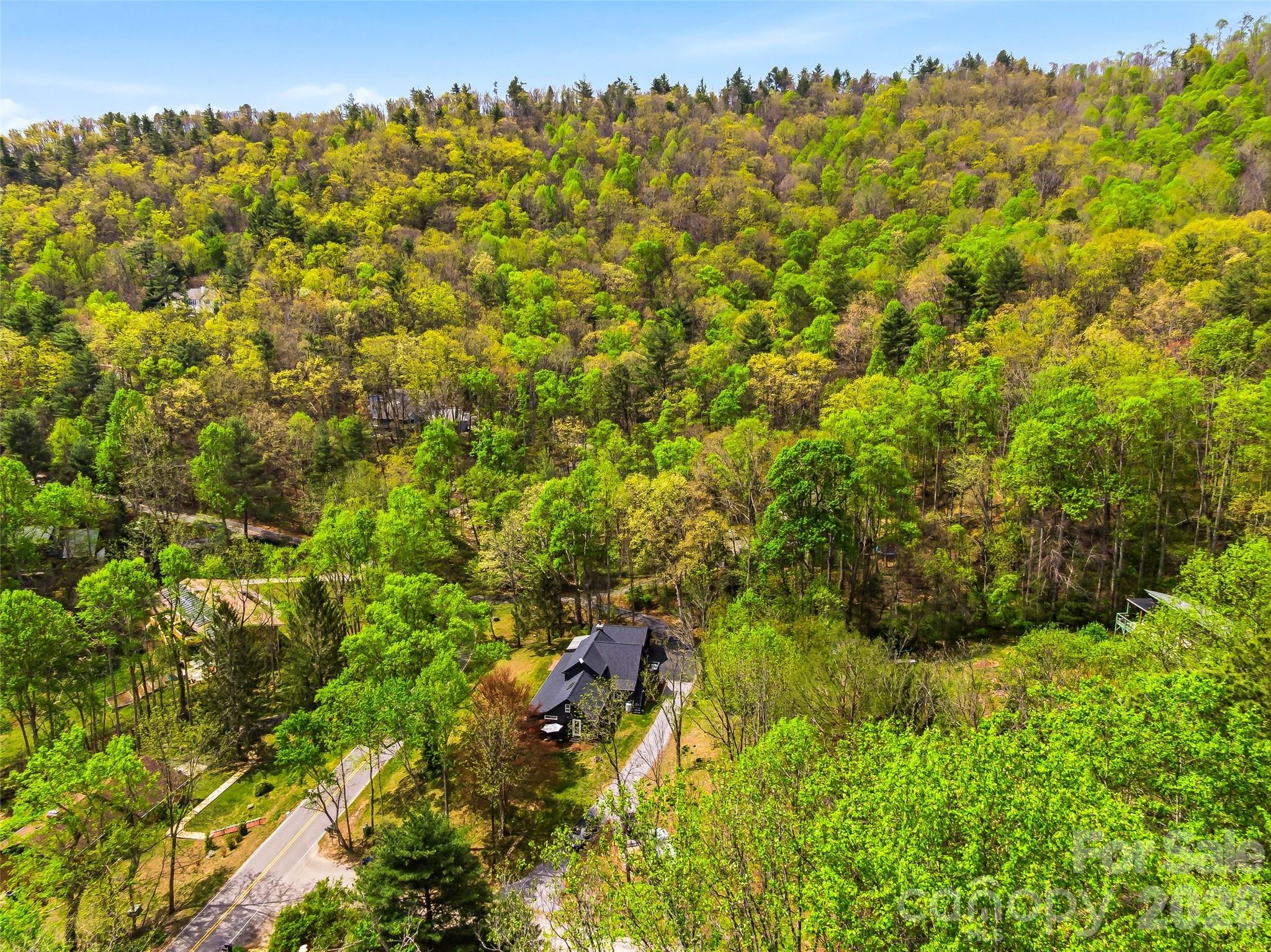 51 Mark Twain Road Asheville NC 28805