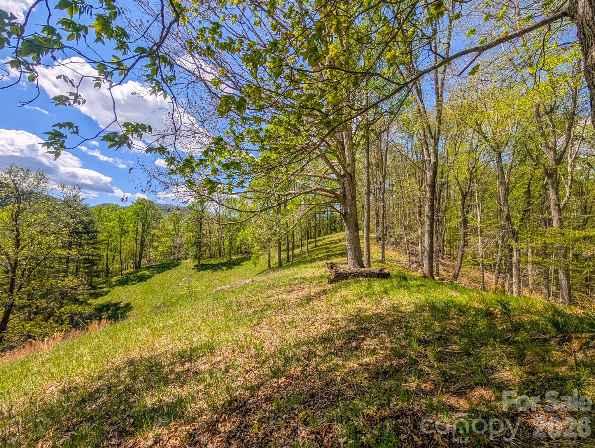 572 Pleasant Valley Road Burnsville NC 28714