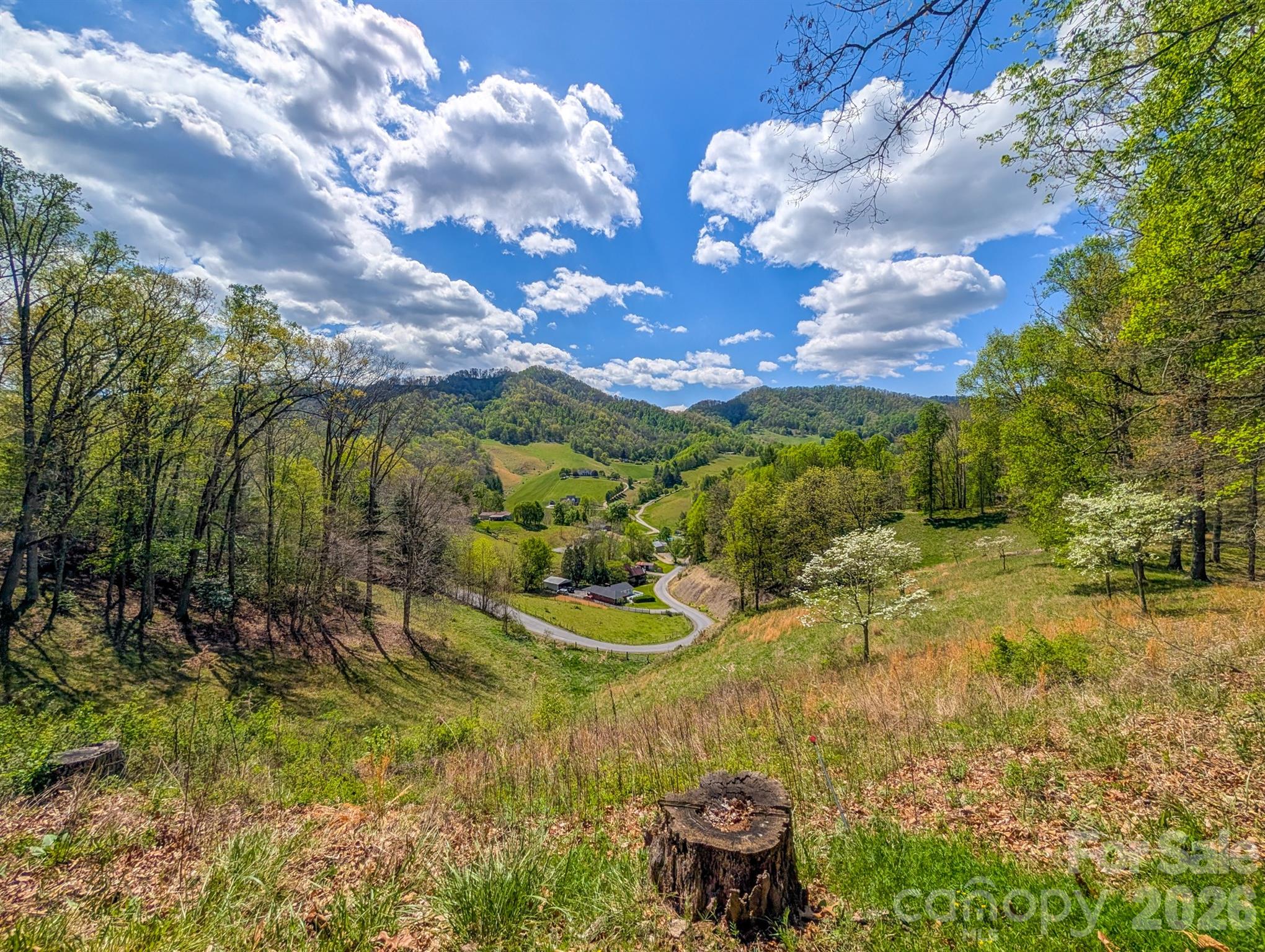 572 Pleasant Valley Road Burnsville NC 28714
