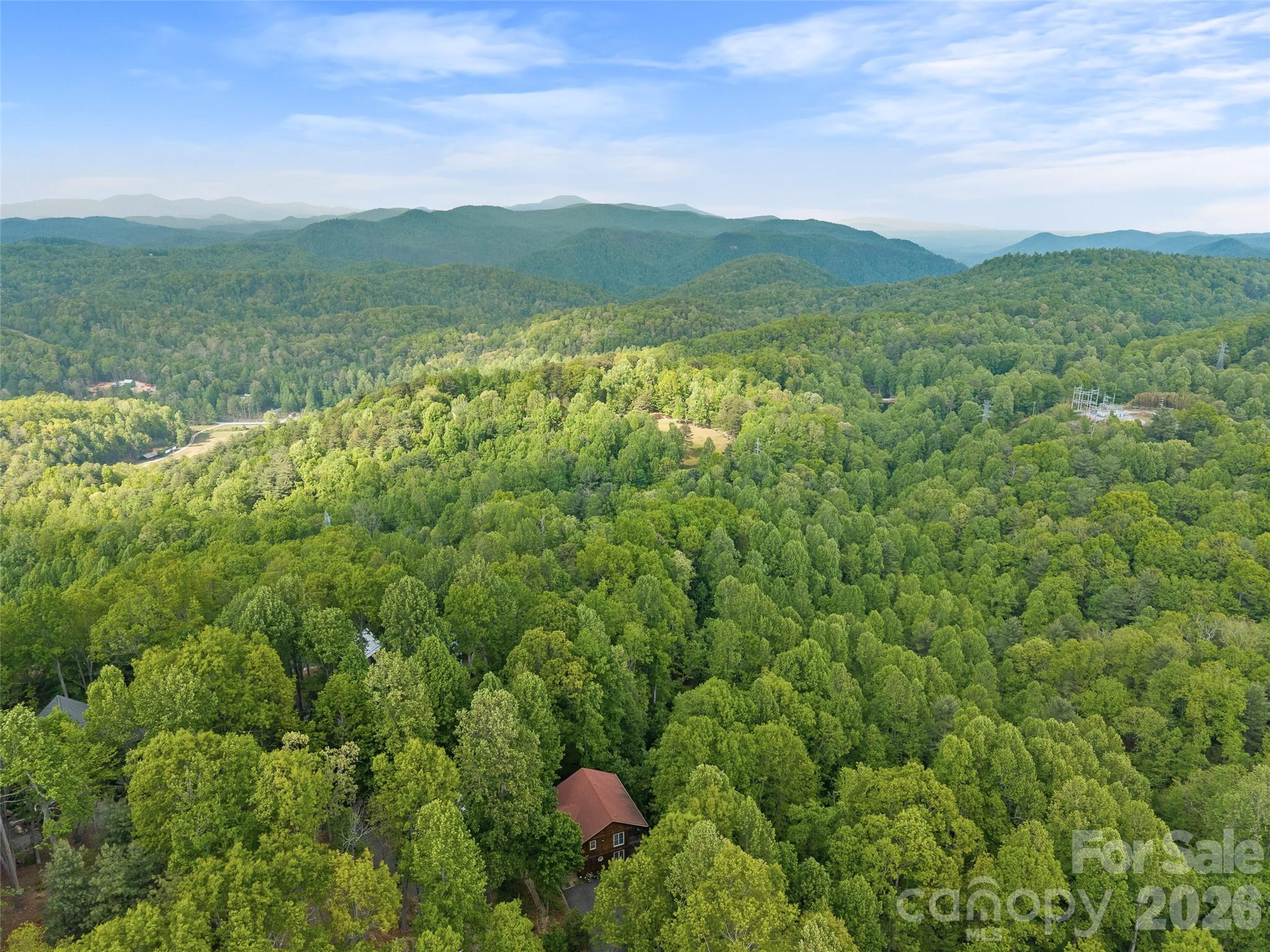 350 Laurel Mountain Trail Saluda NC 28773