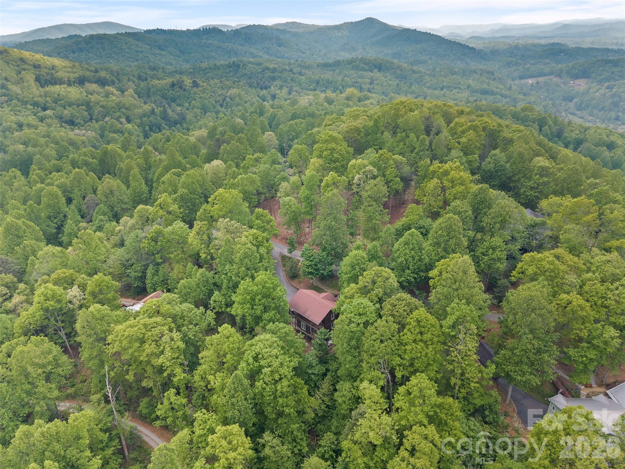 350 Laurel Mountain Trail Saluda NC 28773